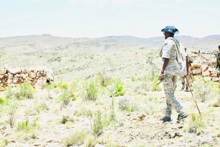 جانب من قوات دراويش بونتلاند