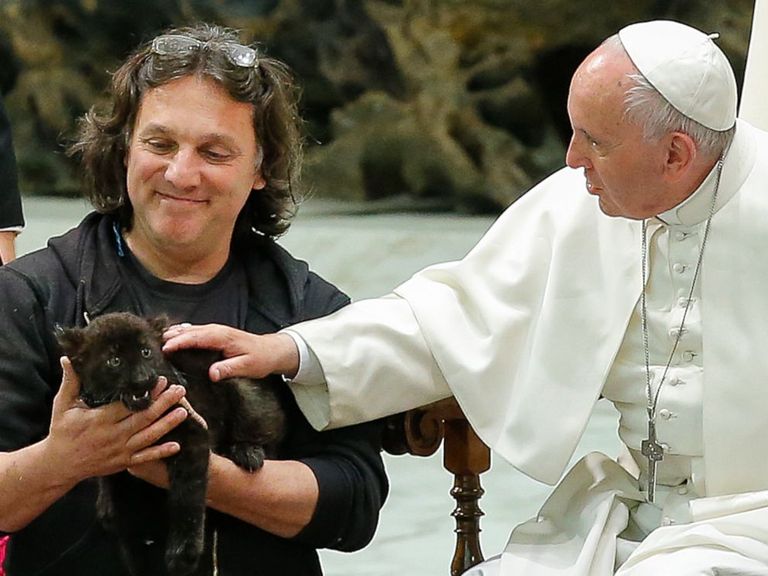 البابا فرنسيس بابا الفاتيكان والنمر المتبنى