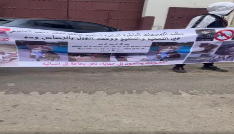 حملة رقمية للحد من قتل الكلاب الشاردة في المغرب حملة رقمية للحد من قتل الكلاب الشاردة في المغرب