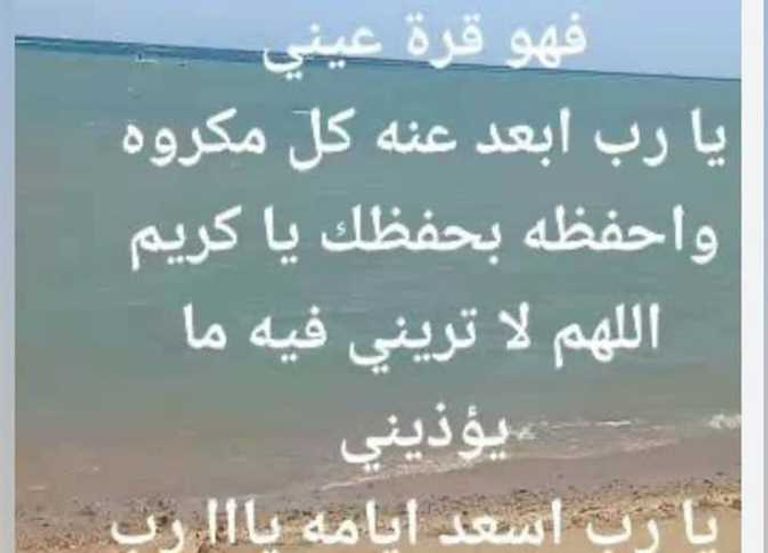 رامي صبري وزوجته