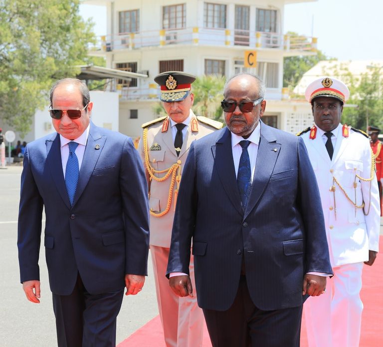 جانب من لقاء السيسي وإسماعيل عمر جيله