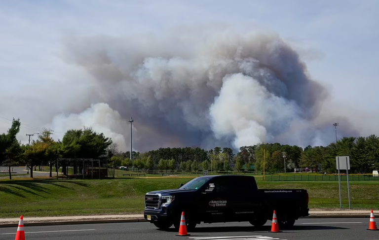 شاب يتسبب في حريق غابة