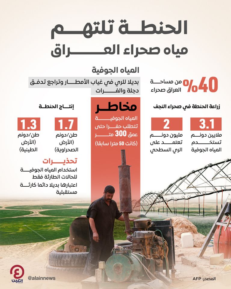 الحنطة تلتهم مياه صحراء العراق الحنطة تلتهم مياه صحراء العراق