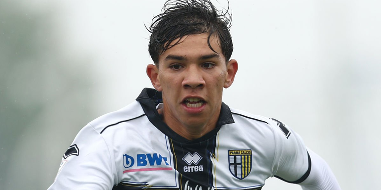 أنس حاج محمد