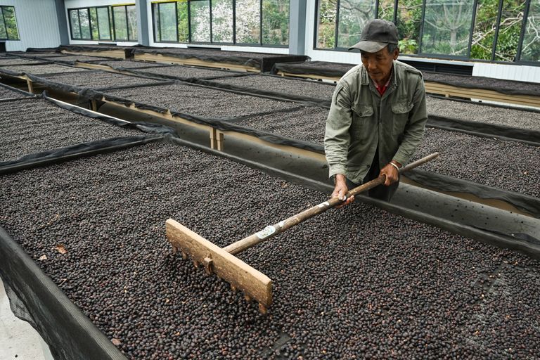 مزارع في مقاطعة يونان - أ ف ب