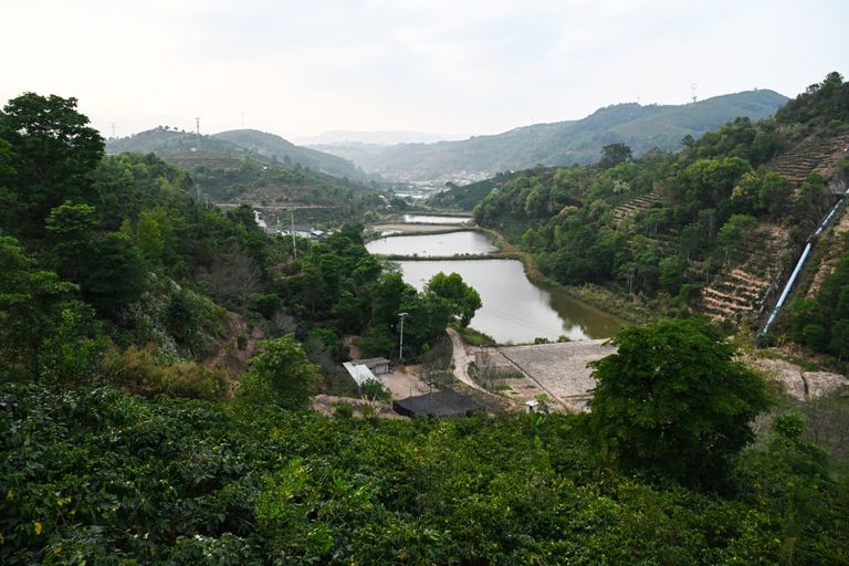 مزارع في مقاطعة يونان - أ ف ب