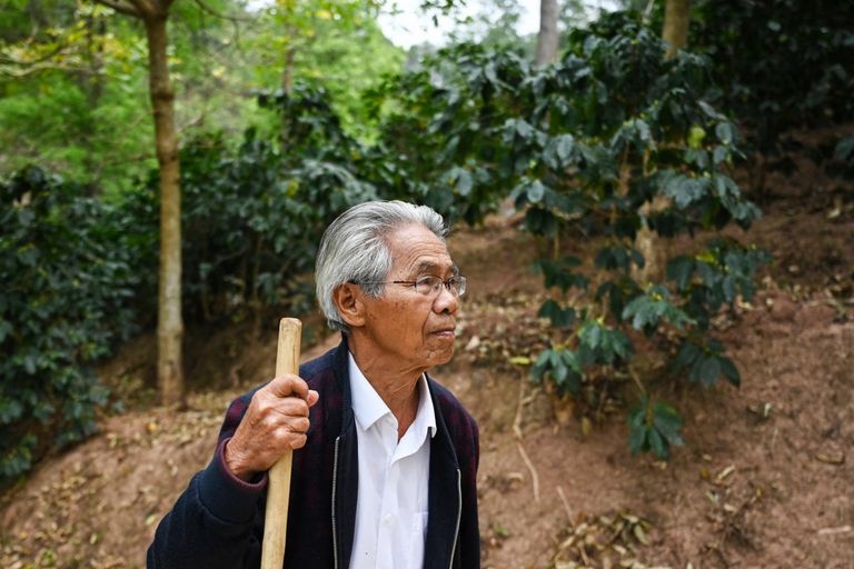 مزارع في مقاطعة يونان - أ ف ب