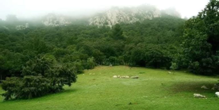 جبل السرج شمال غربي تونس