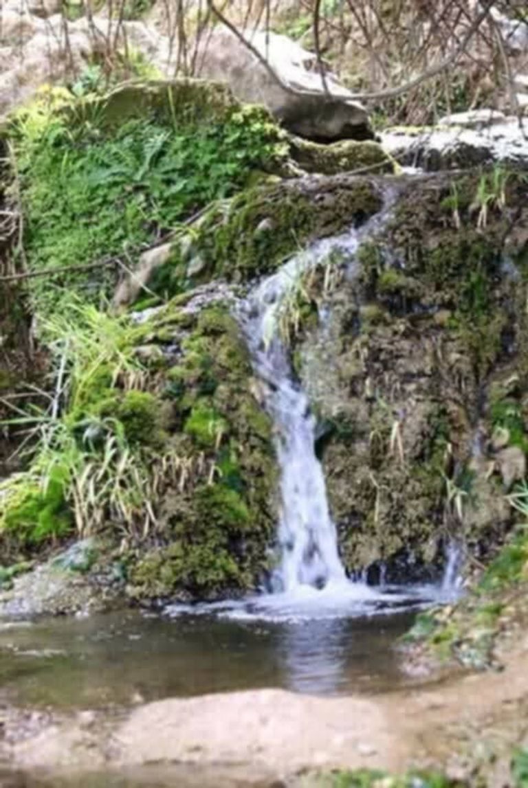 جبل السرج شمال غربي تونس