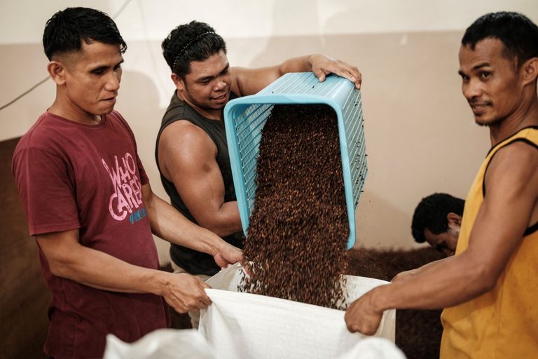 محصول القرنفل - أ.ف.ب