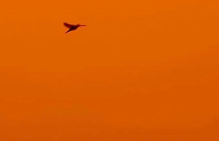 عاصفة رملية في العراق عاصفة رملية في العراق