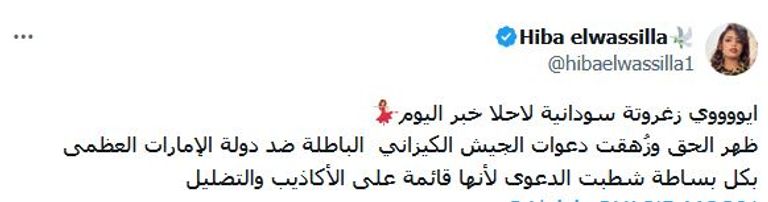 المساعدات الإماراتية للسودان لم تنقطع منذ بداية الحرب