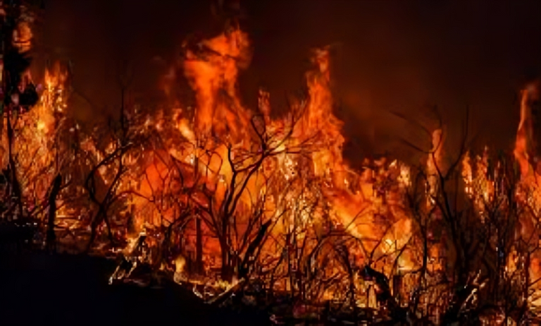 حرائق ضخمة جنوب غرب إنجلترا