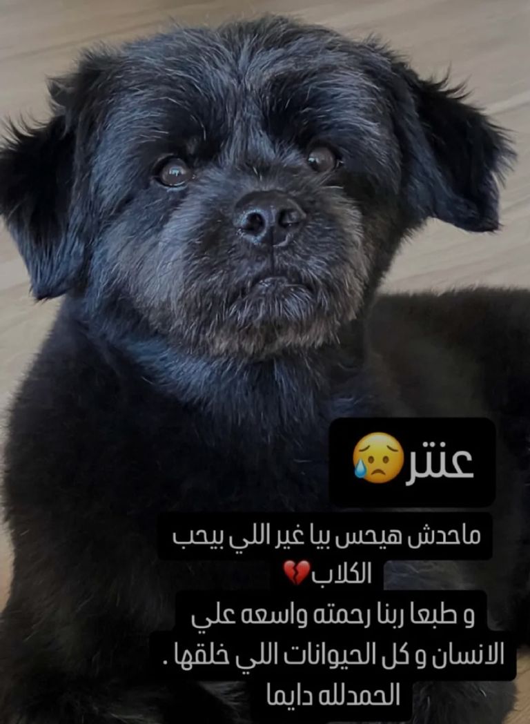 إيمي سمير غانم تنعي كلبها عنتر