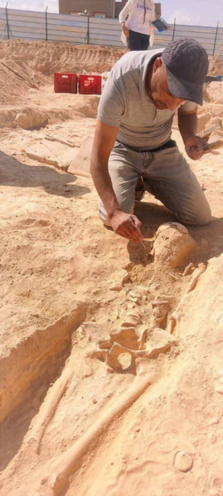 الموقع الأثري الجديد