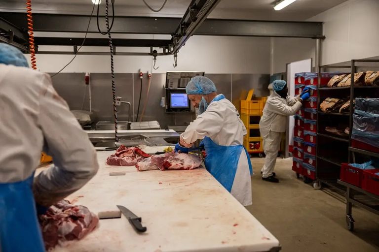 اللحوم الأمريكية