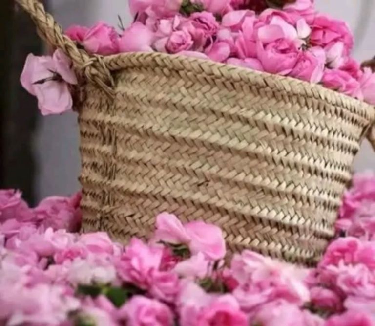 صورة من عيد الورد