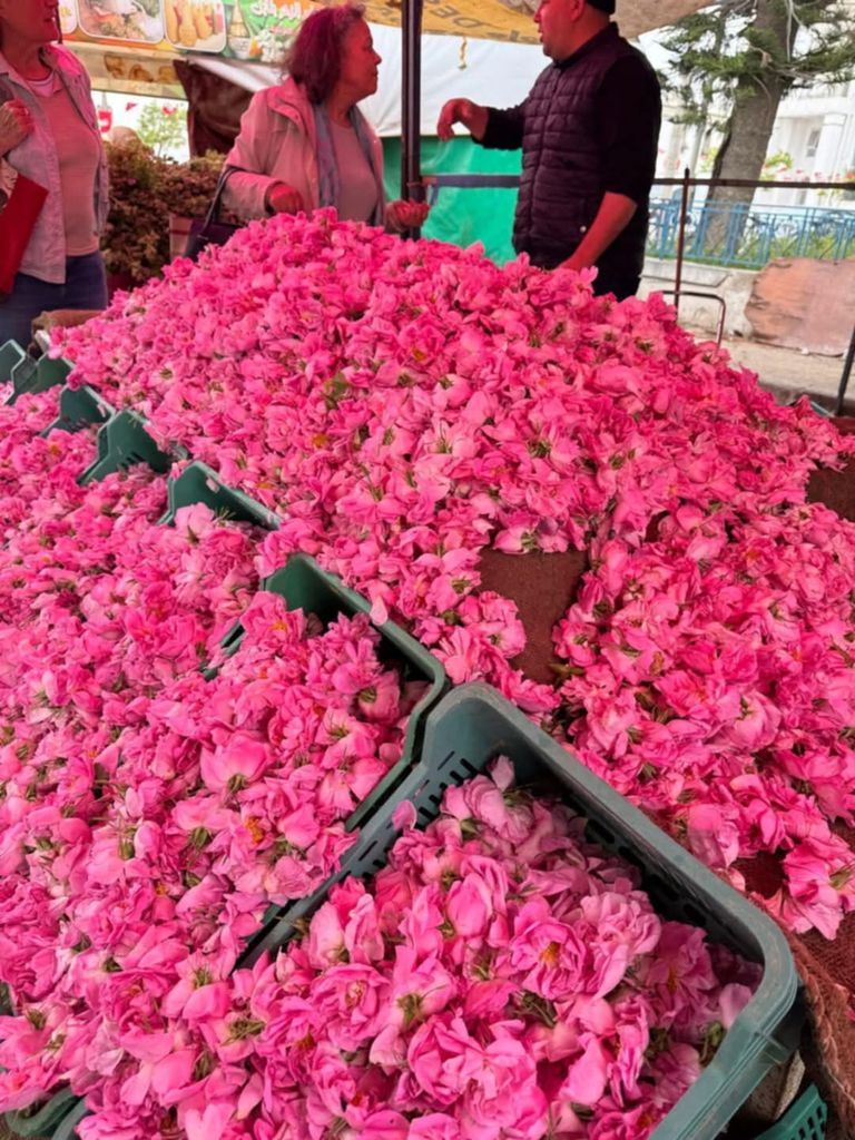 صورة من عيد الورد