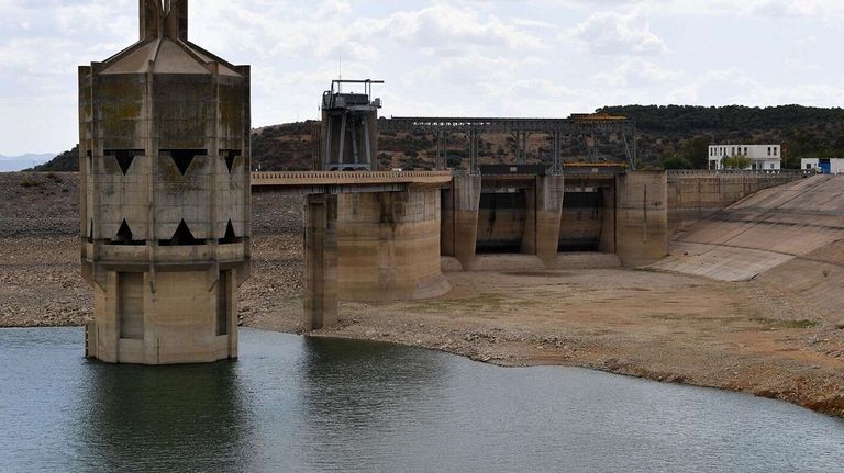 وزير الزراعة التونسي عز الدين بالشيخ