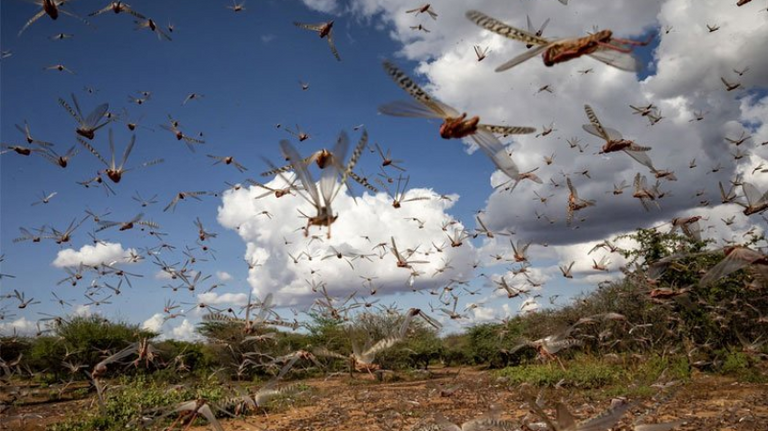 وزير الزراعة التونسي عز الدين بالشيخ