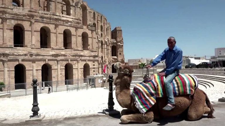 سفيان تقية وزير السياحة التونسي