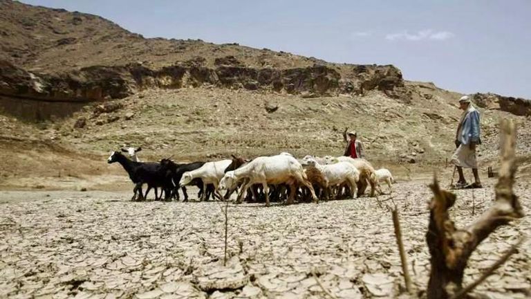 تحذير من موسم جفاف في اليمن