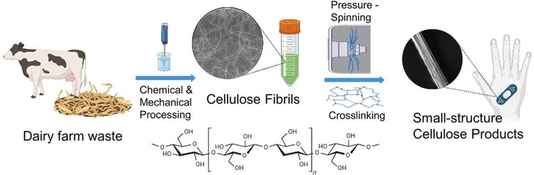 تدوير روث الباندا الغني بالخيزران لتحويله إلى ورق فاخر