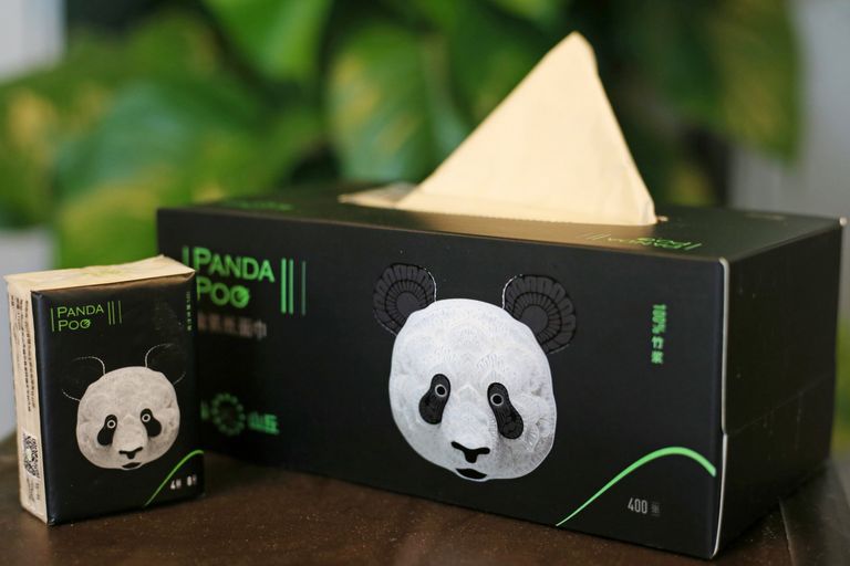 تدوير روث الباندا الغني بالخيزران لتحويله إلى ورق فاخر