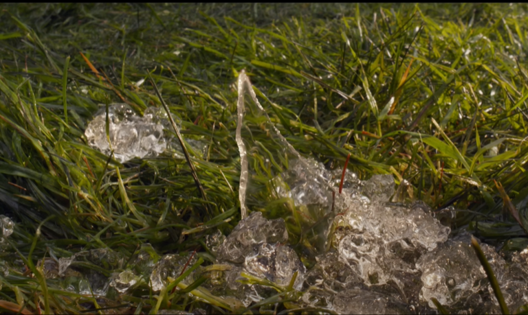 لقطة من فيلم Final Destination Bloodlines