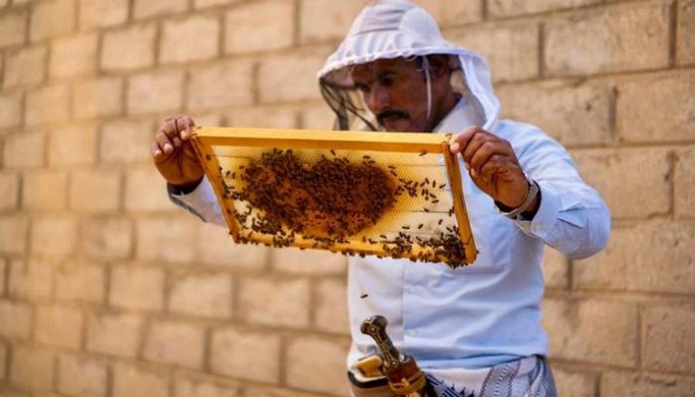 الأزمات تحاصر نحل اليمن