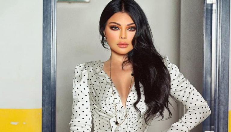 هيفاء وهبي تطعن على قرار منعها من الغناء في مصر