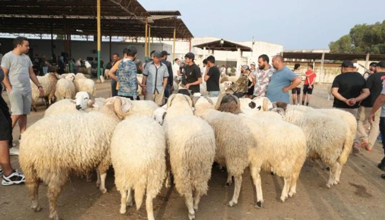 أضاحي العيد في تونس
