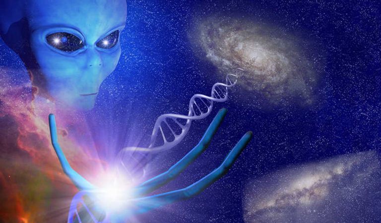 علماء يرون أن اللغة الرياضية قد تكون الخيار الأفضل للتواصل