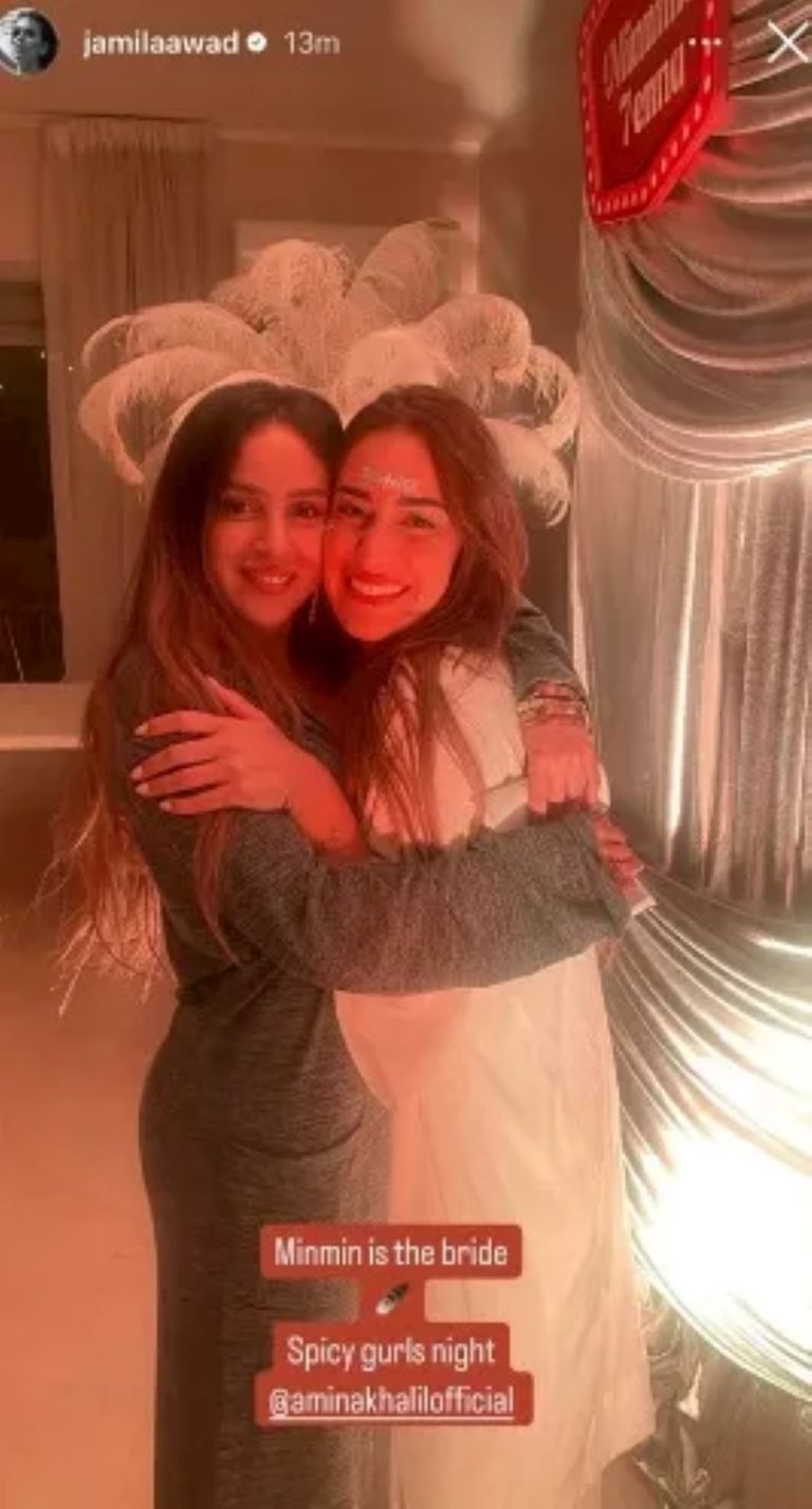 الفنانة أمينة خليل 