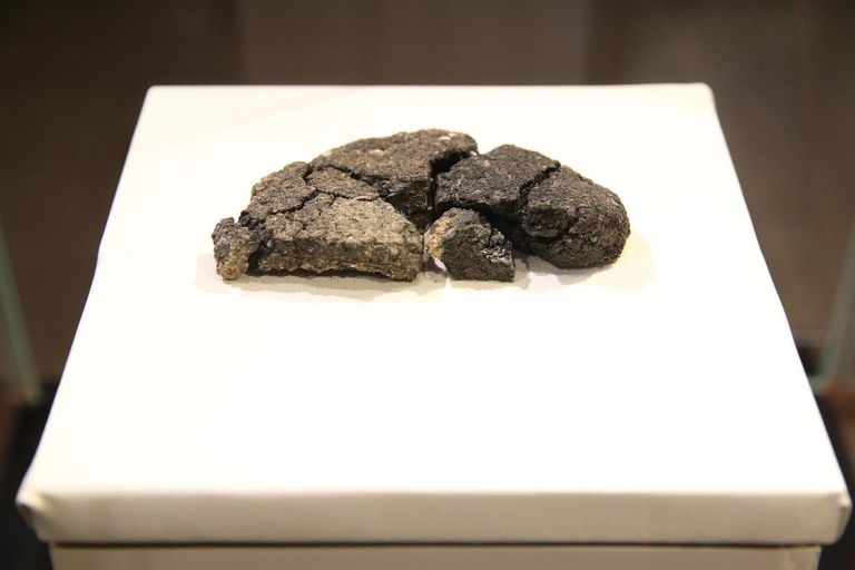 خبز كولوبا التركي المقاوم للجفاف