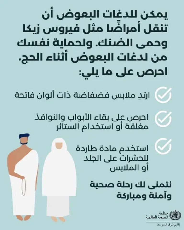 أفضل طرق الوقاية من لدغات البعوض خلال الحج