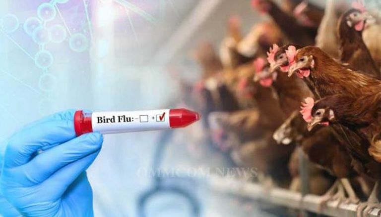 تسجيل رابع حالة وفاة بشرية مرتبطة بإنفلونزا الطيور في كمبوديا
