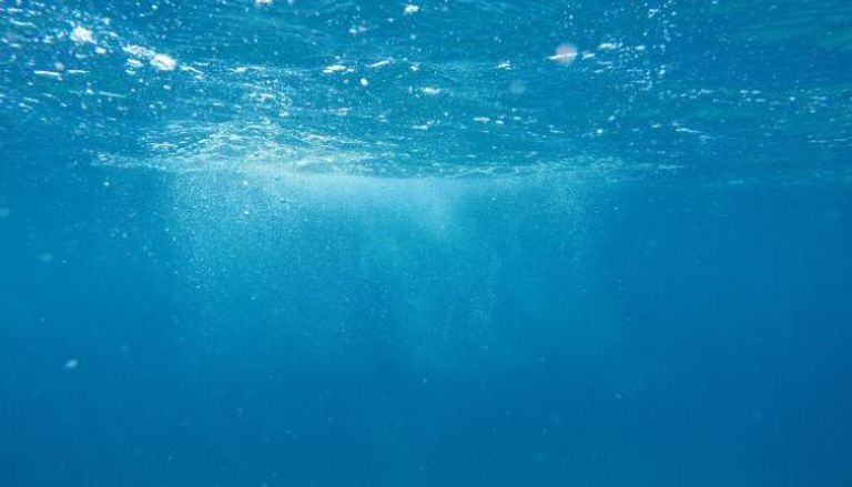 الكائنات البحرية المعروفة تعيش في المناطق المضيئة