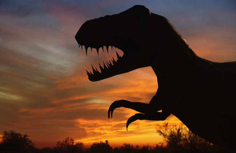 بقايا ديناصور