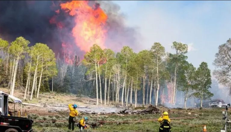 المستويات العالية من الهواء الملوث نتيجة حرائق الغابات تهدد حياة المرضى