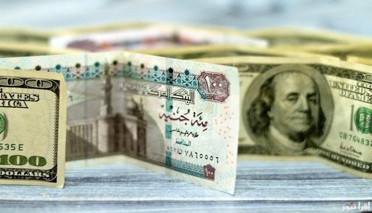 أوراق نقدية من الدولار الأمريكي والجنيه المصري
