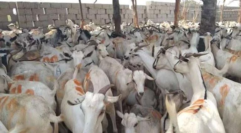 شراء ملابس العيد في اليمن أصبح حلما بعيد المنال