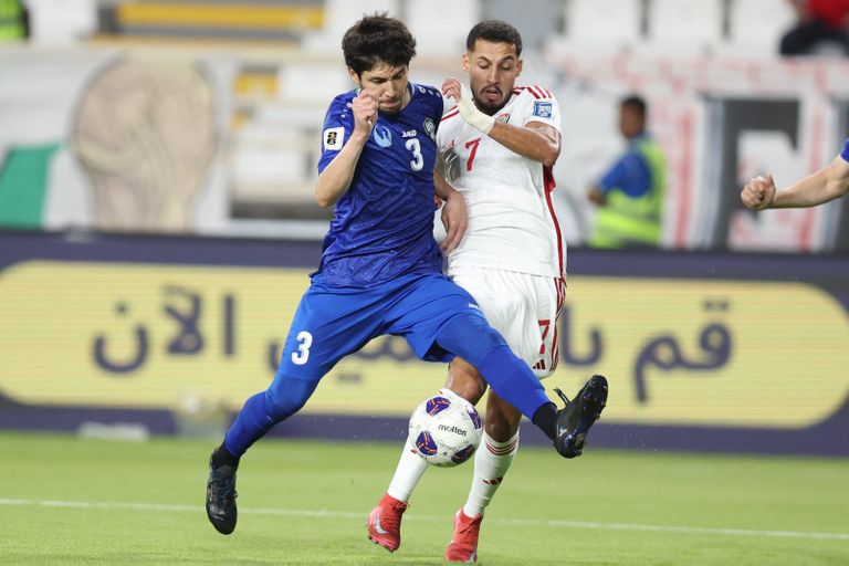 الإمارات وأوزبكستان