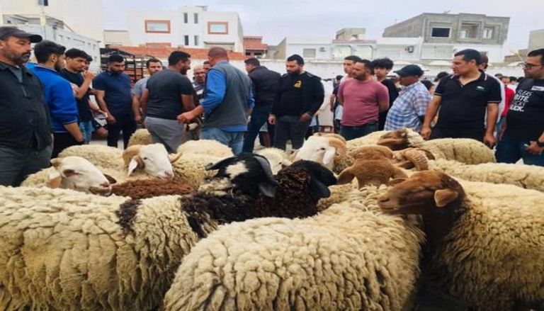 سوق لبيع الأغنام في تونس