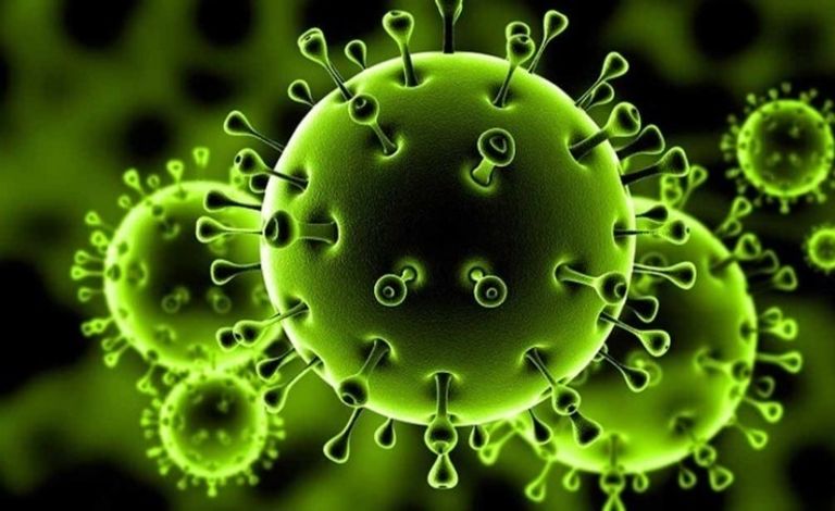 إجراءات التعامل مع كورونا- أرشيفية