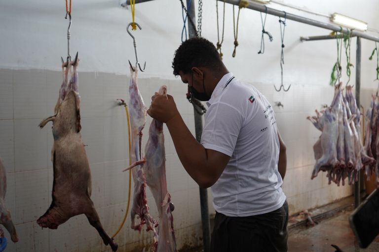 الإمارات تشارك اليمنيين فرحة العيد