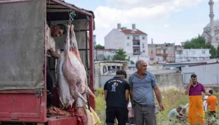 ذبح الأضاحي في تركيا