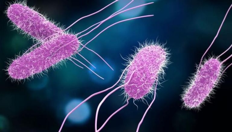 عدوى السالمونيلا قد تتسبب في مضاعفات خطيرة لدى الأطفال