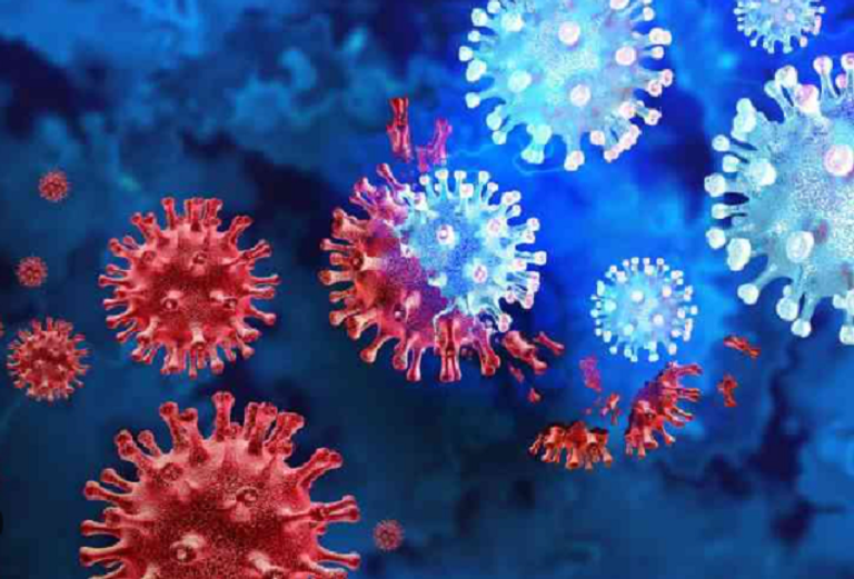 الفيروس ظهر أول مرة في الخفافيش 