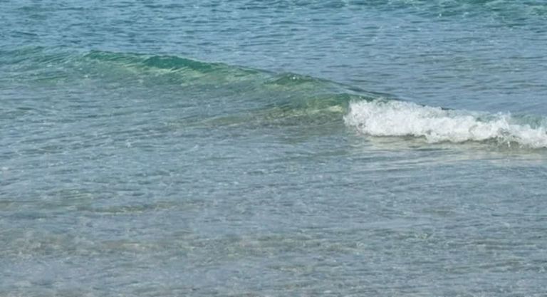 صورة لشاطئ حمام الأنف بعد نظافة مياهه